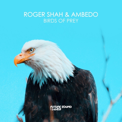 Roger Shah & Ambedo - Birds Of Prey [FSOE716]